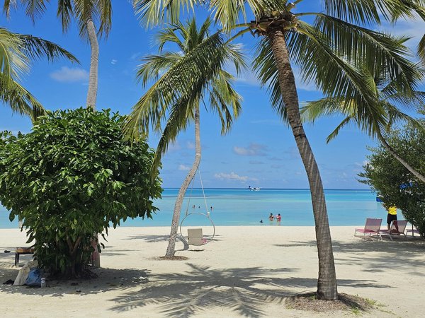 Quels sont les secrets pour une croisière dans les fjords de Norvège ?