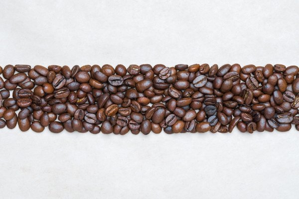 Quels sont les critères pour une location de vacances éco-responsable en pleine nature ?