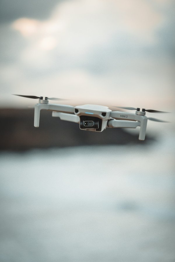 Où trouver les meilleurs spots pour observer les aigles royaux en Espagne ?